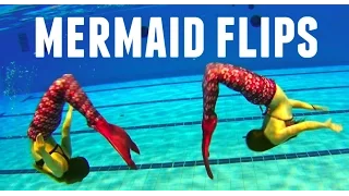 Mermaid training - FLIPS tutorial