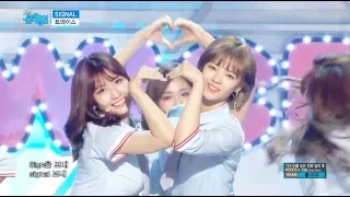 【TVPP】 TWICE - Signal, 트와이스- 시그널 @ Show Music core