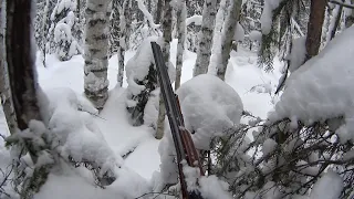 Охота на боровую зимой с подхода, с лайкой.