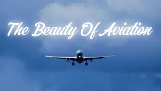 The Beauty Of Aviation | Bloody Mary | 2K HD