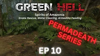 Green Hell - Spirits of Amazonia - Permadeath: Episode 10 - Rescue, Water Clearing, Jaguar Encounter