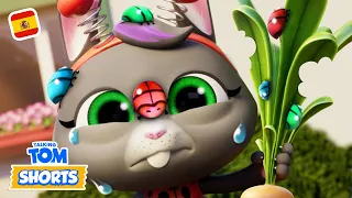 🥕 Jardín bajo ataque (Insectos desagradables 2) 🐞 Cortos de Talking Tom (Temporada 2, Episodio 36)