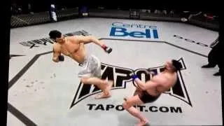 Left side kick to the head of Mirko Cro Cop