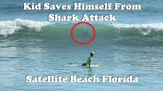 Kid Saves Himself From Shark Attack in Florida