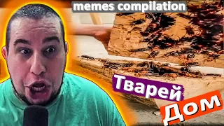 МАНУРИН СМОТРИТ UNUSUAL MEMES COMPILATION VOL 33 - РЕАКЦИЯ MANYRIN МЕМЕС ПРИКОЛЫ #reaction