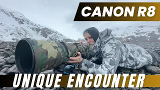 Canon R8 - A Unique Encounter on the Shore of Whittier, Alaska. - Bird Photography