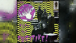 FRANTIC V -  THE FUGITIVE!