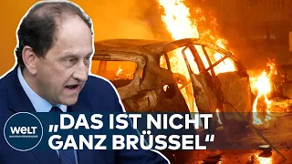 WM-RANDALE IN BRÜSSEL: "Unfassbar dumm, was da passiert ist" – Lambsdorff | WELT Interview