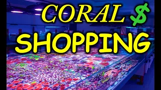 Coral Shopping Adventure !!!!