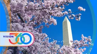 Florecen lazos de amistad entre EEUU y Japón