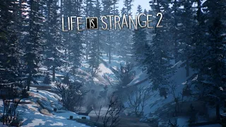 Life is Strange 2 OST:PauseInventory Themes