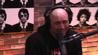 Joe Rogan on BJ Penn & his MMA history with the UFC.