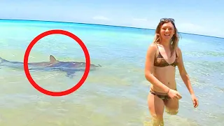 6 SHARK Encounters That Will Make You Cringe