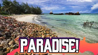 We found the motherlode ! Paradise in the Exumas (Bahamas Series)