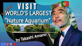 VISIT TO THE WORD'S LARGEST NATURE AQUARIUM - TAKASHI AMANO