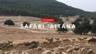 В мире животных парка Сафари-Айтана, провинция Аликанте, Испания. Safari-Aitana