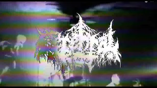 CEREBRAL ROT Live in Los Angeles, CA 7-30-22