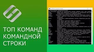 Команды CD, DIR, START, COPY, XCOPY, MD, REN, DEL, EXIT, LogOff, ShutDown командной строки 💻 📝 🥇