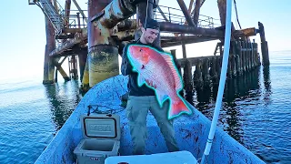 PANGA Fishing OFFSHORE OIL RIGS for GIANT Fish! {Gulf of Mexico}