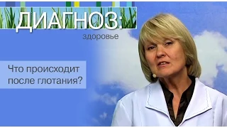 Что происходит после глотания? | Диагноз: здоровье