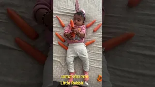 आमचा ससा गाजर खातेा कसा🐇|| littlerabbit🐰||Marathi kids in Australia #sasatosasa #shorts #trending