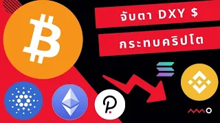 จับตาทิศทาง DXY กระทบคลิปโตยังไงต่อ? BTC ETH BNB ADA SOL DOT ...