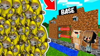 BASE SEGURA vs 10000 BANANA CAT 😨😱 BASE BEBE NOOB VS GATO BANANA en MINECRAFT