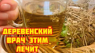 Пила укропную воду утром и на ночь! Вылечила 10 болезней и даже похудела.Паразитов нет