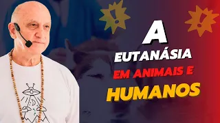 COMO o PLANO ESPIRITUAL vê a EUTANÁSIA em HUMANOS e ANIMAIS | Prof. Laércio Fonseca