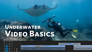 Underwater Video Basics