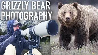 Photographing a Grizzly Bear in a Snowstorm - Wildlife Photography in Grand Teton