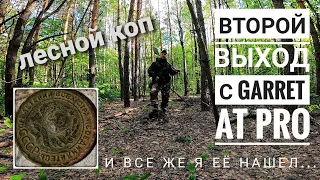 Новичок. Второй выход с GARRET AT PRO. Лесной коп.