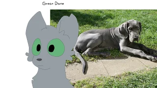 Warrior Cats as Dogs