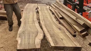 CUTTING LIVE EDGE SLABS WITH A CHAINSAW MILL | OLD BYRD FARM OR HOMESTEAD DINNING ROOM TABLE MAYBE?