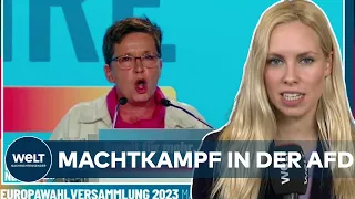 AFD-PARTEITAG: Wie der Höcke-Flügel ihre Gegner mundtot macht | WELT Thema