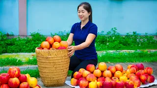 Harvest Wild Apple Goes To Market Sell | Live With Nature | Song Minh Bushcraft