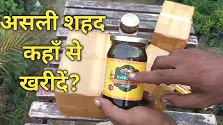 असली शहद कहाँ से खरीदें शहद में बने मुरब्बे जो शुगर फ्री होंगे || how to purchase wild honey 🍯