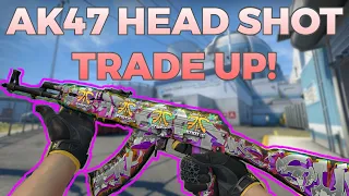 AK47 HEAD SHOT Trade up