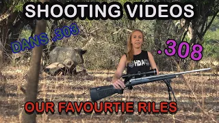 Hunting Wild Boar with some of our favourite rifles .308 & .303 - Female shooting wild hogs