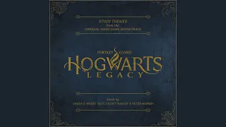 J Scott Rakozy - The Observation Deck (Hogwarts Legacy: Study Themes)