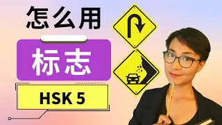 HSK 5 词汇和语法【标志 biāo zhì】HSK 5 Vocabulary & Grammar - Advanced Chinese