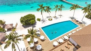 Why Stay at Reethi Faru, Bio Luxury Resort, Maldives?