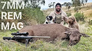 Sambar Deer Hunting - Meat Run - 7mm Rem Mag