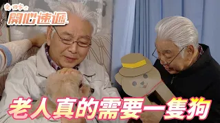 愛．回家之開心速遞｜不能擁有真的狗勾就自己做一隻紙箱狗勾！！獨自在安老院生活的老人想要的是陪伴！！｜ 劉丹、呂慧儀、單立文、滕麗名、周嘉洛｜港劇精華