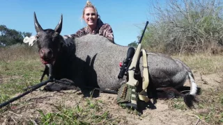 2017 Las Matsones XXIII Kim's South Texas Spot and Stalk Nilgai