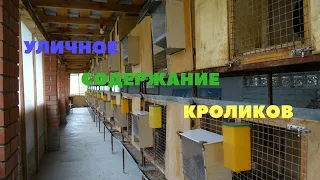 Конструкция клеток для уличного содержания на ферме Моряк