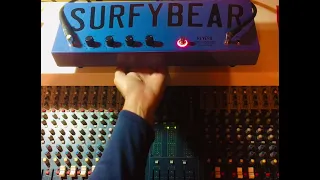 Surfy Bear Reverb in dub