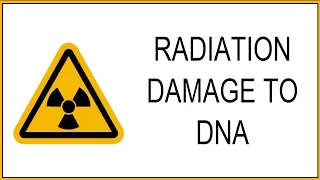 3 Why is nuclear radiation dangerous