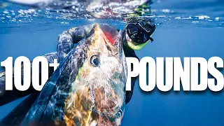 Spearfishing GIANT Bluefin Tuna | Chasing Foamers in San Diego, California