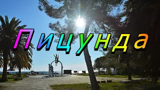 Пицунда. Абхазия. Ноябрь. 4K // Pitsunda. Abkhazia. November.